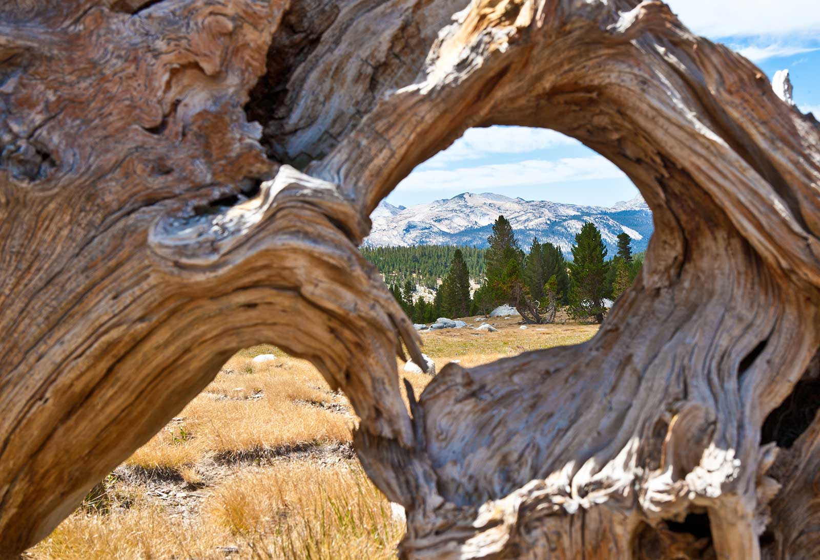 High sierra looking from White Mountain