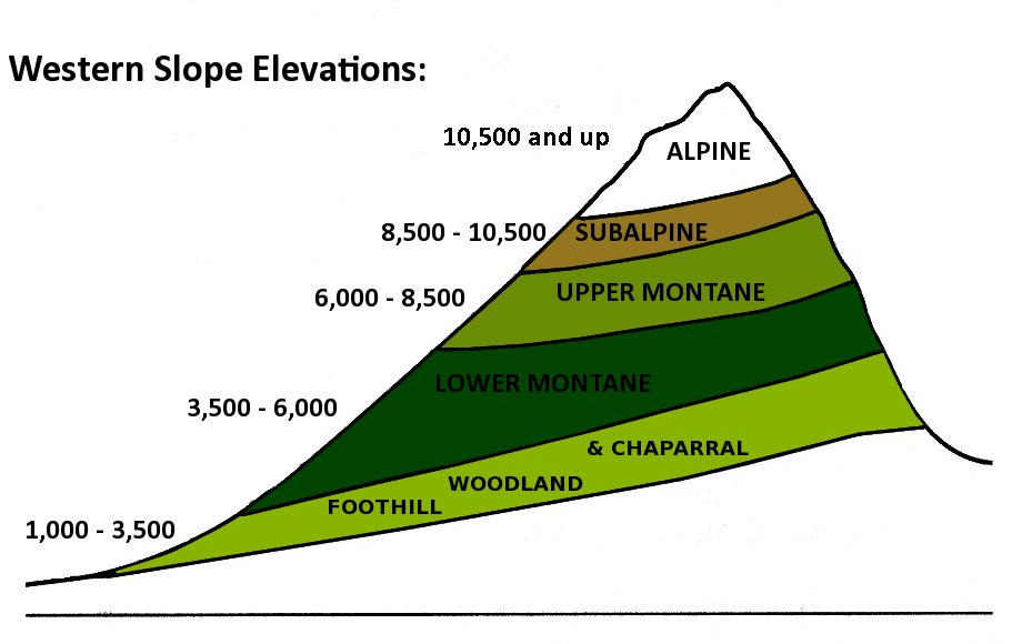 Western Slope Elevations