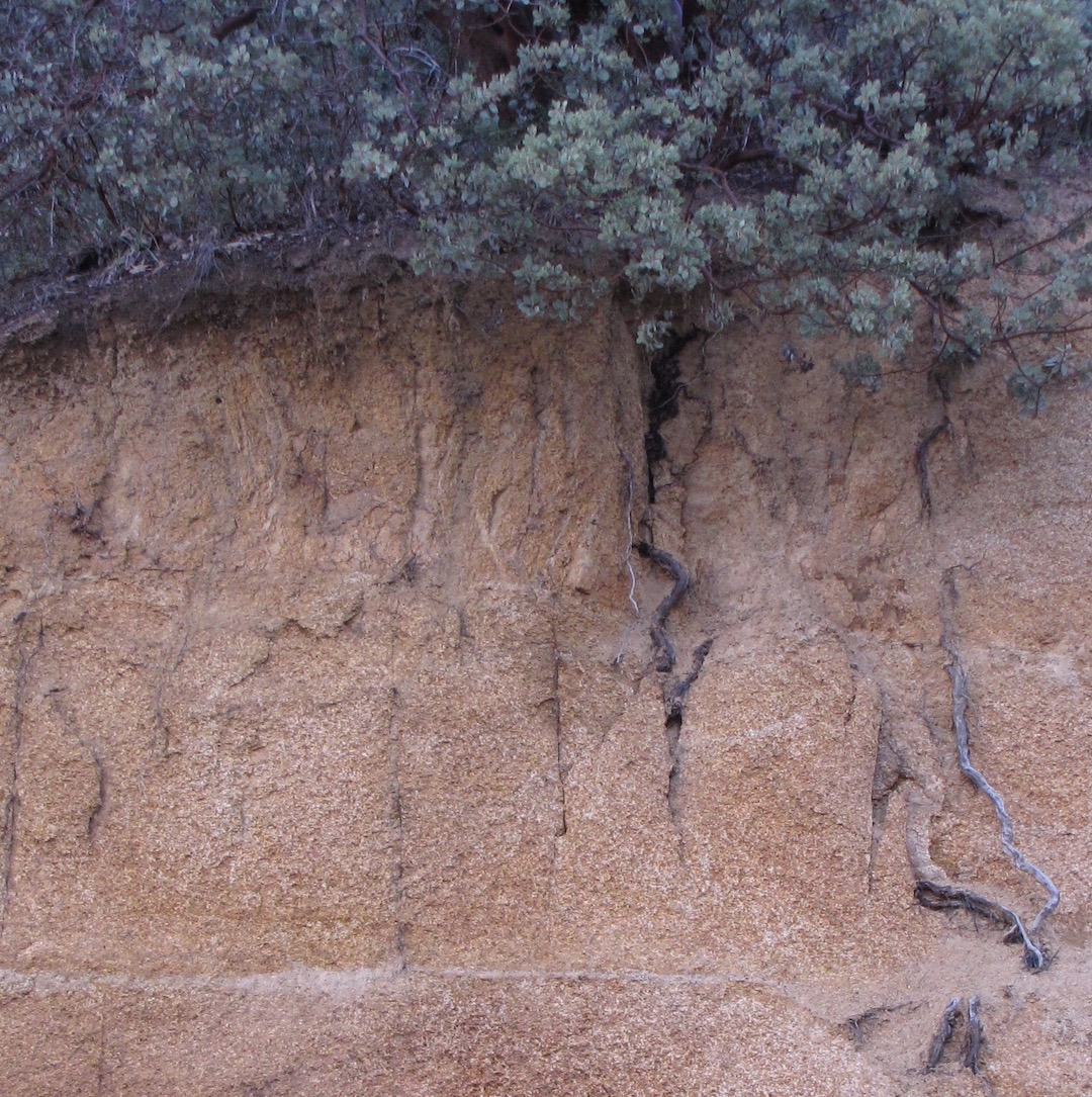 Soils of the Sierra Nevada